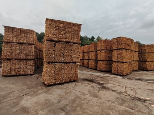 環(huán)保新高度 凱瑞象板材18mm大豆膠生態(tài)環(huán)保板材問世，引領(lǐng)綠色建材革新