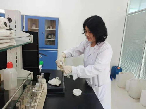 鄒城市2025年7月8日生態(tài)環(huán)境工作動(dòng)態(tài) 聚焦環(huán)境材料銷售助力綠色發(fā)展