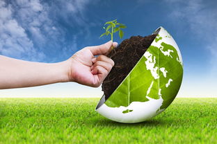 環(huán)境工程、環(huán)境生態(tài)工程與生態(tài)環(huán)境材料銷售 區(qū)別與關(guān)聯(lián)