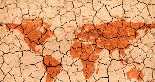 沙漠下的寶藏 生態(tài)環(huán)境材料的潛在價(jià)值與商機(jī)