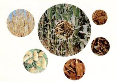 清潔可再生能源與生態環境材料 構筑綠色未來的雙翼